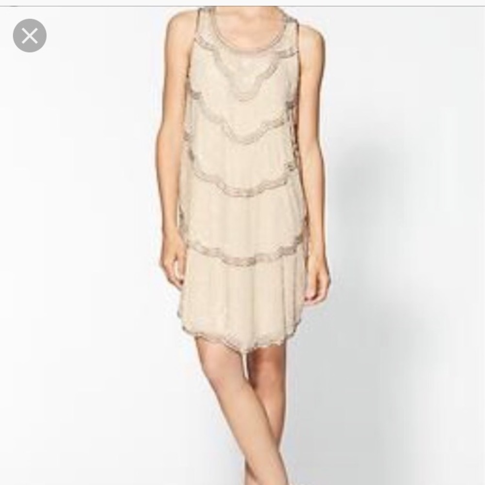 Stunning beaded flapper dress